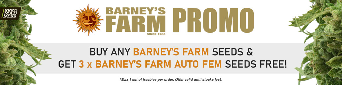 Barney's Farm Promotion!