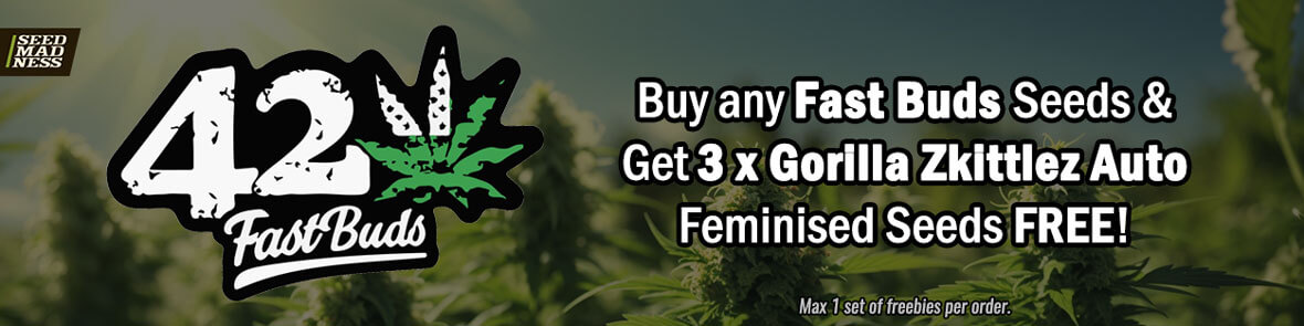 Fast Buds Promotion