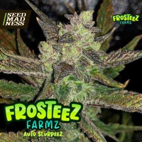 Auto Slurpeez Feminised Seeds (Frosteez Farmz)
