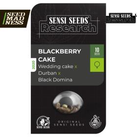 Blackberry Cake Feminised Seeds (Sensi Seeds)