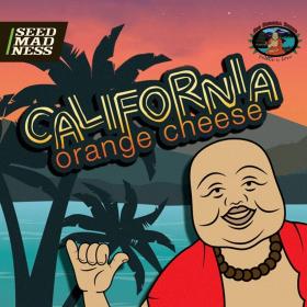 CLEARANCE - California Orange Cheese Feminised Seeds (Big Buddha Seeds)