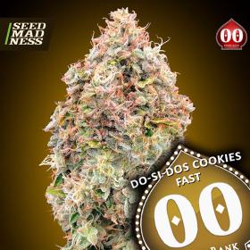 Do Si Dos Cookies Fast Feminised Seeds (00 Seeds Bank)