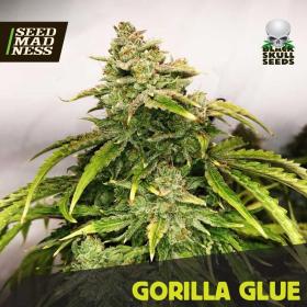 Gorilla Glue Feminised Seeds (BlackSkull Seeds)