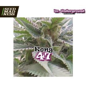 Kong 47 Feminised Seeds (Dr Underground)