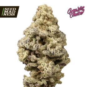 Mac N Cheese (Limited Edition) Feminised Seeds (GrowersChoice)