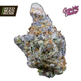 Mimosa Gusher (Limited Edition) Feminised Seeds (GrowersChoice)