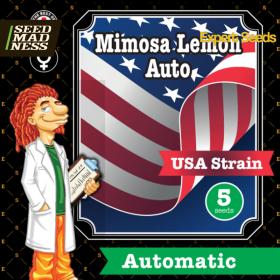 Mimosa Lemon Auto Feminised Seeds (Expert Seeds)