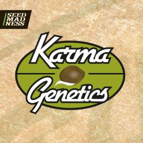 Rado Biker Regular Seeds (Karma Genetics)