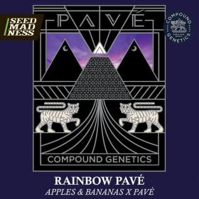 Rainbow Pavé Feminised Seeds (Compound Genetics)