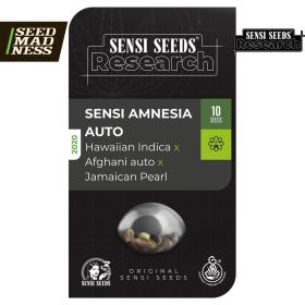 Sensi Amnesia Auto Feminised Seeds (Sensi Seeds)
