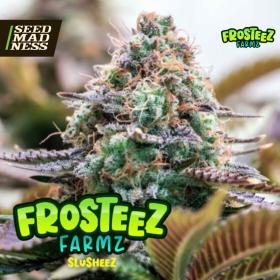 Slusheez Feminised Seeds (Frosteez Farmz)