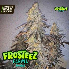 Smorez Feminised Seeds (Frosteez Farmz)