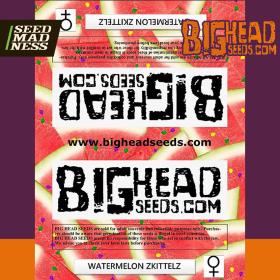 Watermelon Zkittelz Feminised Seeds (Big Head Seeds)
