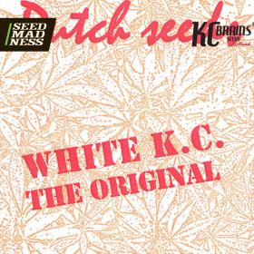 White KC Regular Seeds (KC Brains)