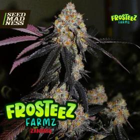 Zangria Feminised Seeds (Frosteez Farmz)