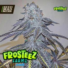 Zmints Feminised Seeds (Frosteez Farmz)