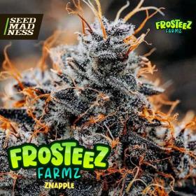 Znapple Feminised Seeds (Frosteez Farmz)