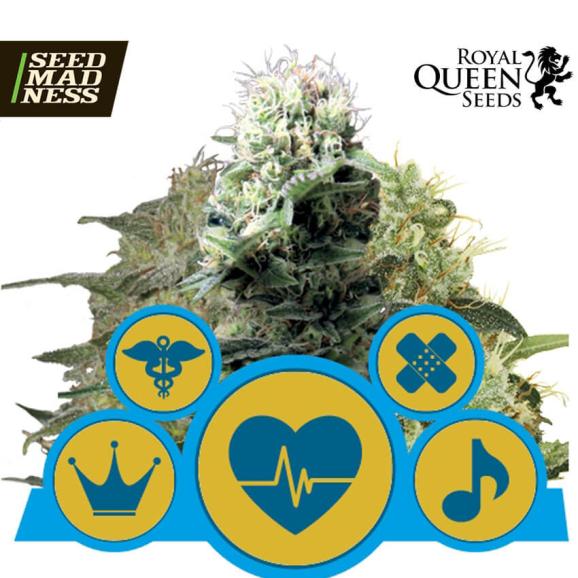 Royal Queen CBD Mix Feminised Seeds (Royal Queen Seeds)