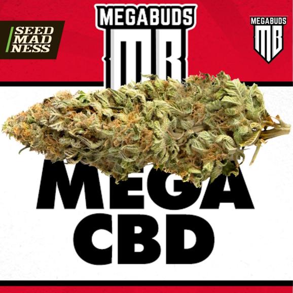 Mega CBD Feminised Seeds (Mega Buds)
