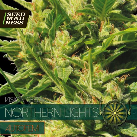 Northern Lights Auto Feminised Seeds (Vision Seeds)
