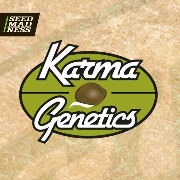 Sour Biker Regular Seeds (Karma Genetics)