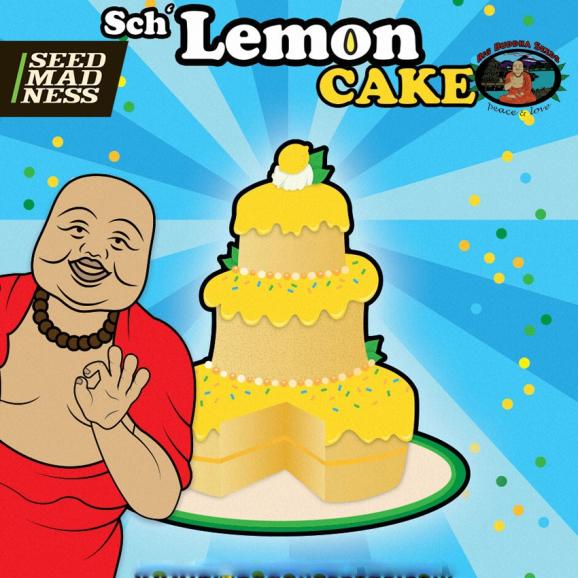 Sch Lemon Cake Feminised Seeds (Big Buddha Seeds)