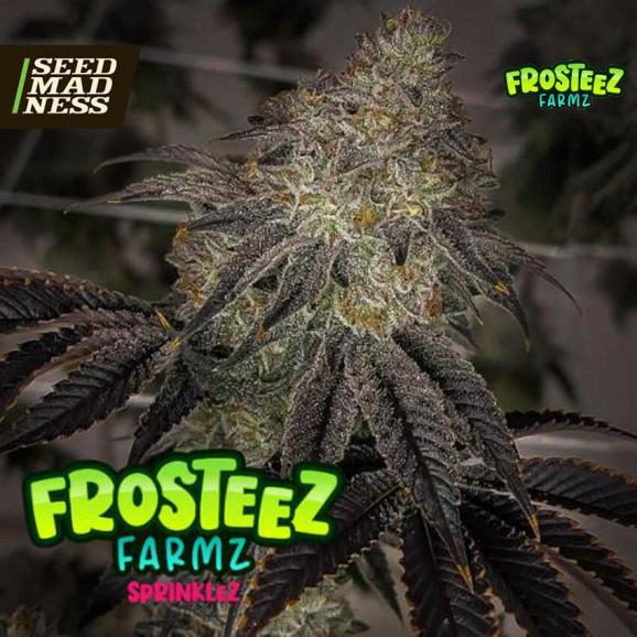Sprinklez Feminised Seeds (Frosteez Farmz)