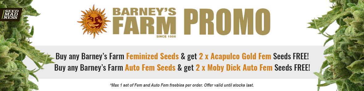Barney's Farm Seeds Promo