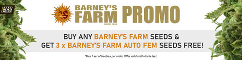 Barney's Farm Seeds Promo