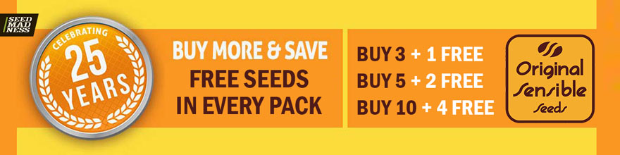 Original Sensible Seeds Promotion